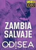 Zambia Salvaje Odisea Temporada 1 [1080p]